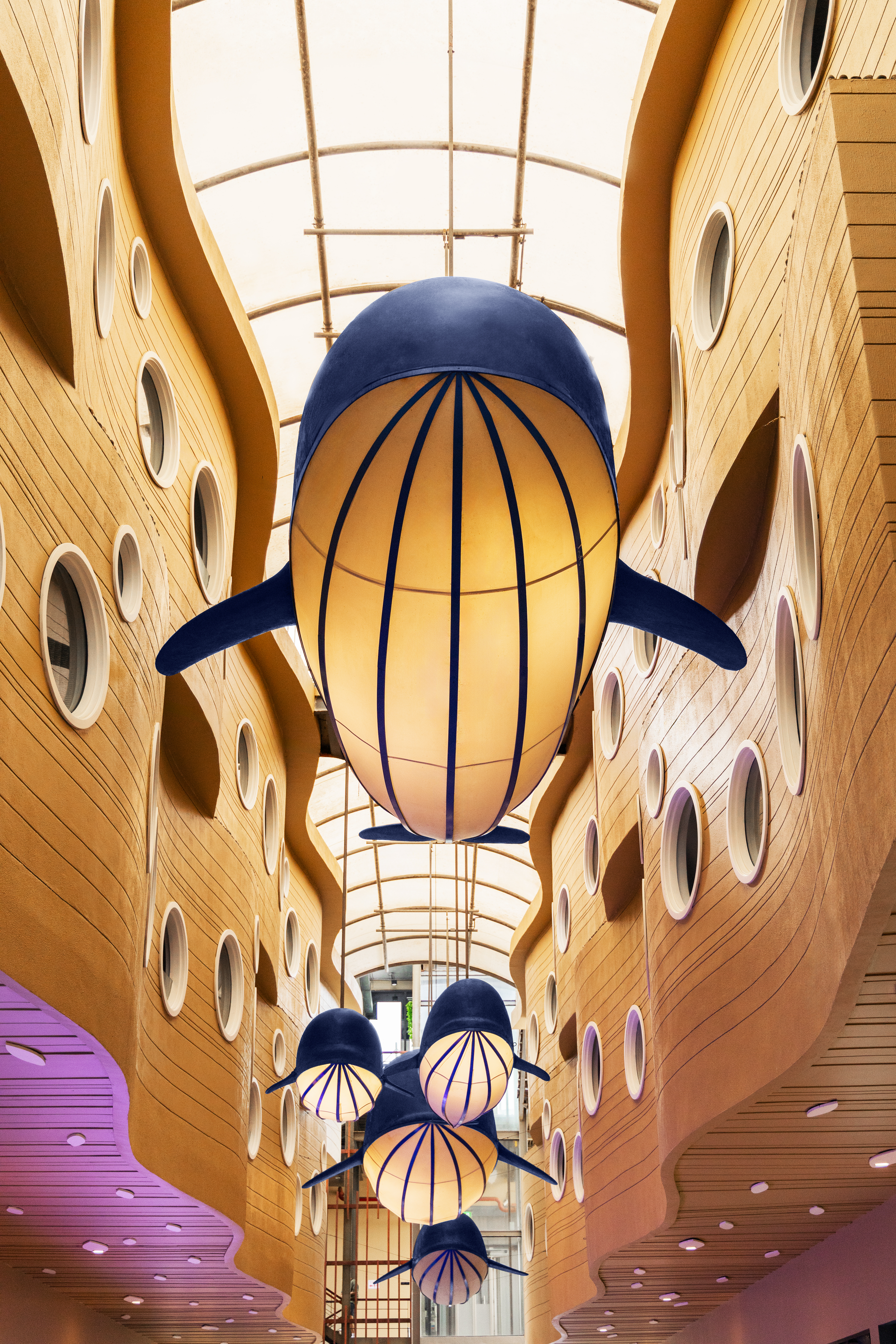 Website Exclusive Offer